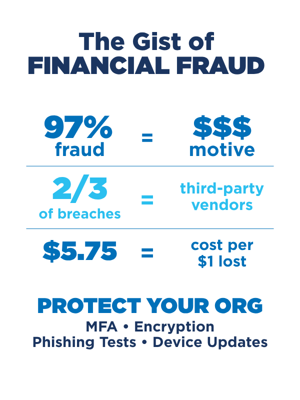 infographic titled the gist of financial fraud